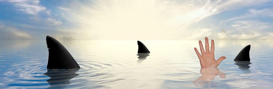 Lessons from the Shark Tank